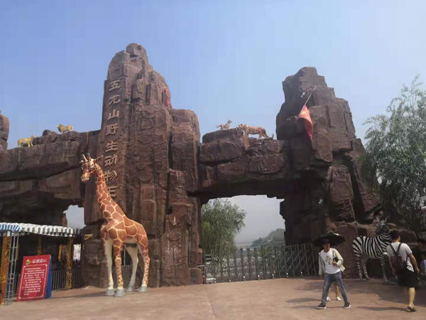 事发辉县！游乐园内女孩被斑马吞掉一截手指，园方回应