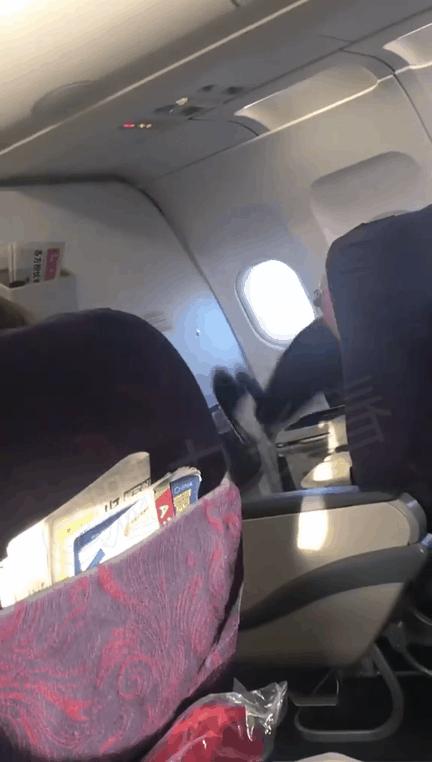 涂磊身上有静脉曲张吗,涂磊自曝腿部有静脉曲张