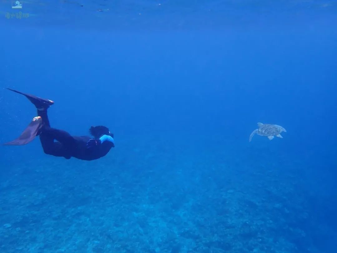 2019年我大学毕业后在日本开个海水店