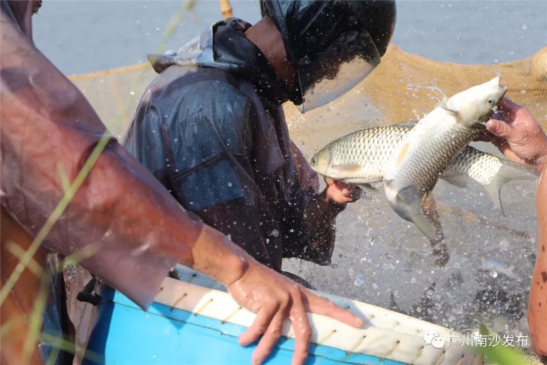 涓ぇ鍗氬＋鍏婚奔,涓ぇ鍗氬＋