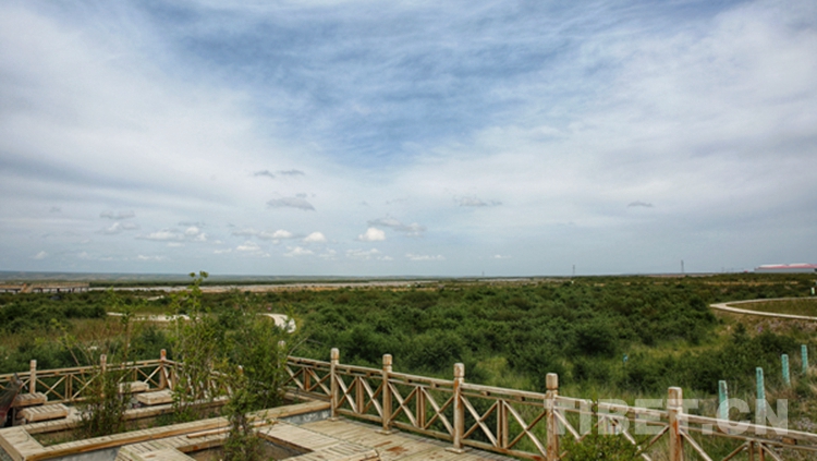 海西，你怎么这么好看