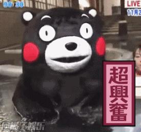 世界杯冠军战绩历史,世界杯冠军创历史纪录