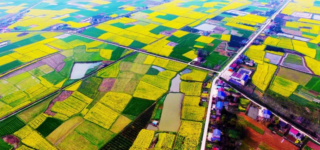 公安县农业户口人员请注意，这项决定9月1日起施行