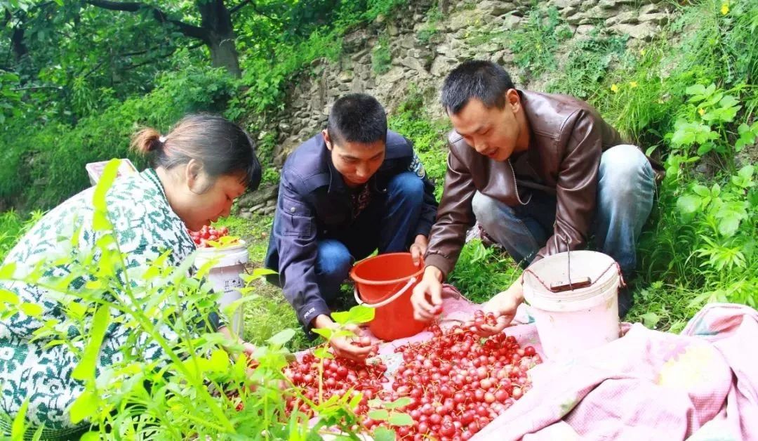 义乌新型电商模式,义乌五大电商模式