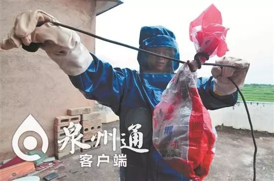 最近被抓的毒虫,警惕这种虫有人被咬后差点没命