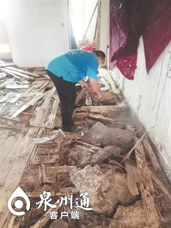 当心有毒虫,毒虫出没一晚上4人被咬紧急送医