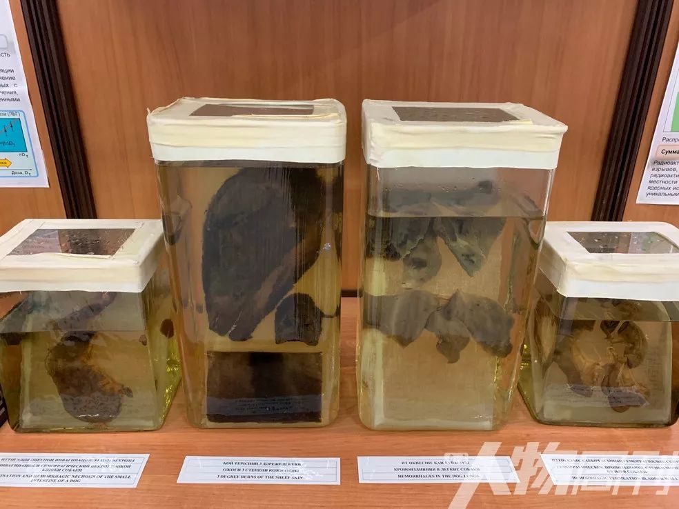 草原核爆炸自己会掉血吗,原神草原核爆炸伤害