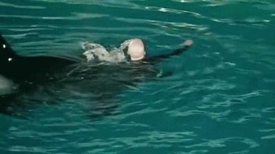 丧心病狂！每帧画面都在捅刀子，多少人忽视了这些人间惨剧…