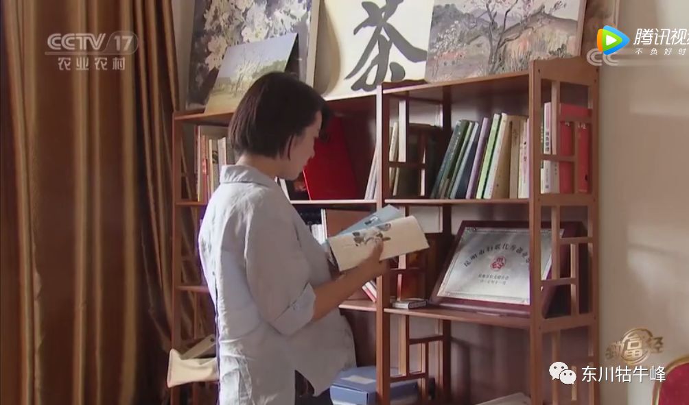 东川茶花仙子,茶花仙子诗全文