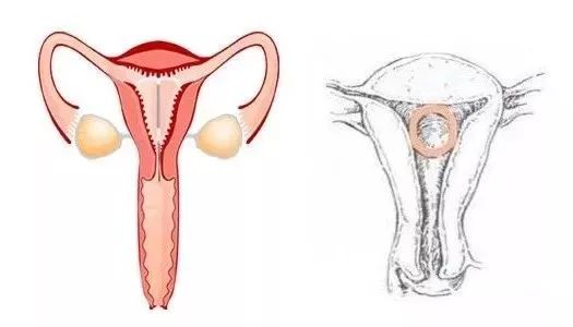 中国历史被遗忘的女性,被遗忘的中国女人