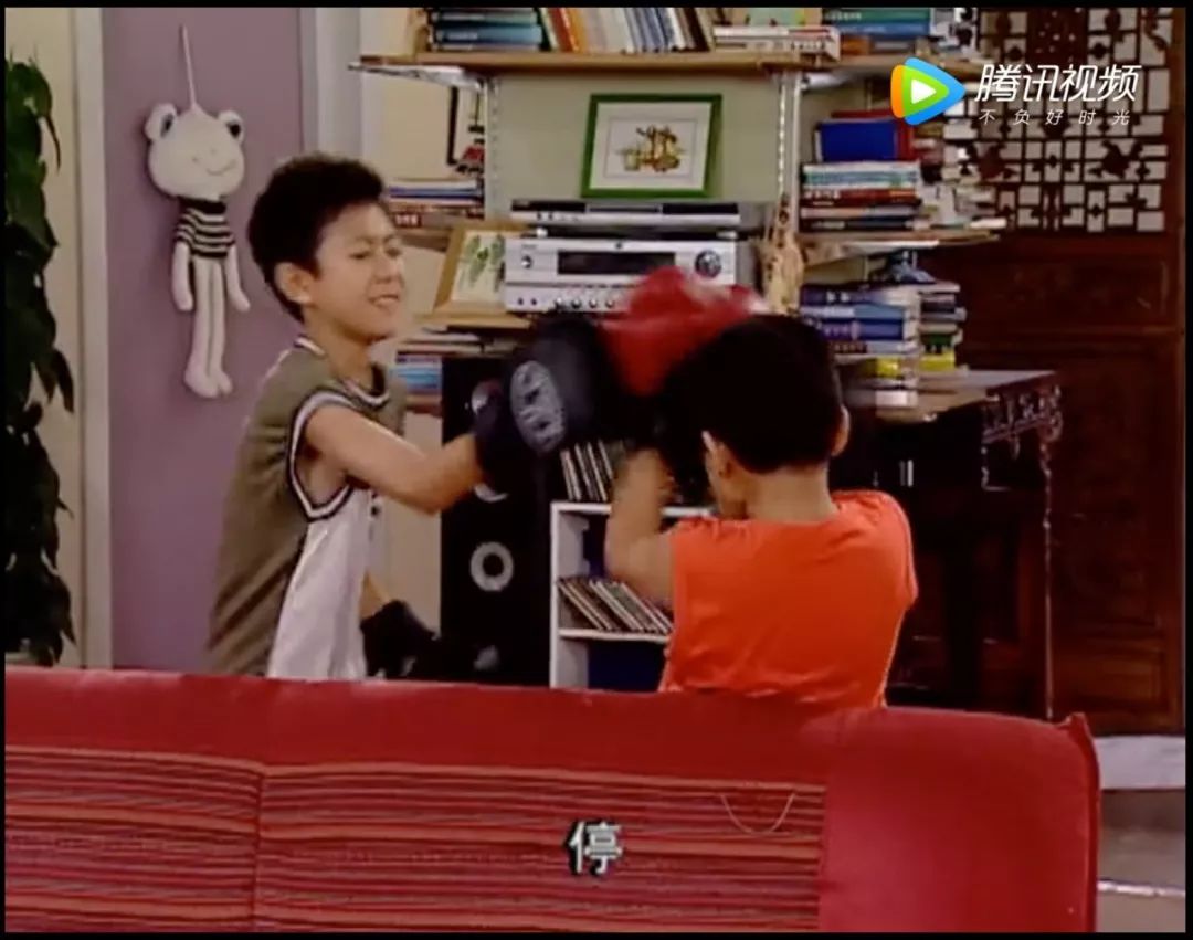 家有儿女长大后回忆,家有儿女经典回忆录