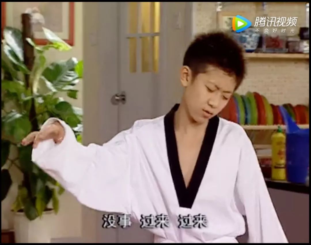 家有儿女长大后回忆,家有儿女经典回忆录