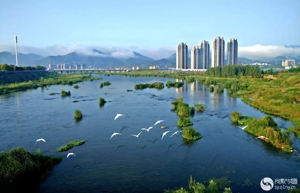 南阳有哪些山水风景区,南阳周边美景有哪些