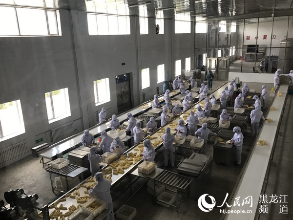 打造玉米百亿产业园延长产业链,玉米产业发展思路