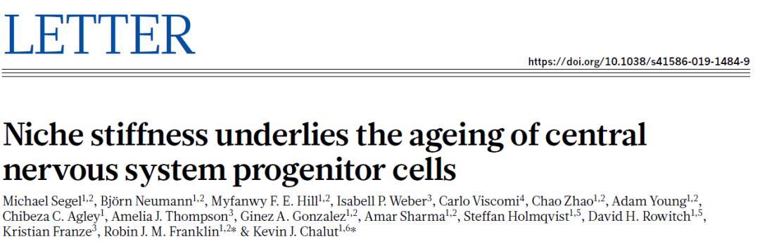有关干细胞的前沿科技,干细胞再生牙齿最新研究进展结果