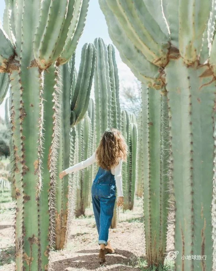 球旅伴|国庆签证容易专列：伊朗上线1周即将成团，塞尔维亚黑山，格鲁吉亚，摩洛哥