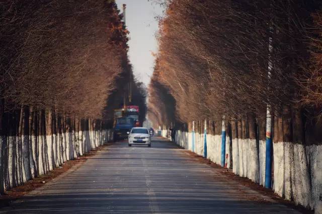 上海松江9号线路名,松江话讲松江历史