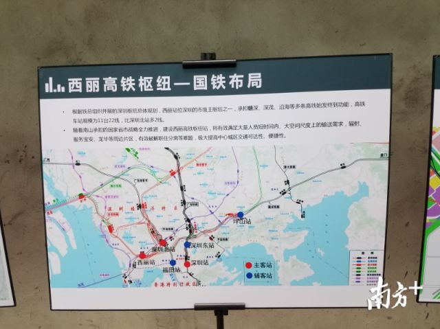 你为什么错过深圳湾,错过深圳