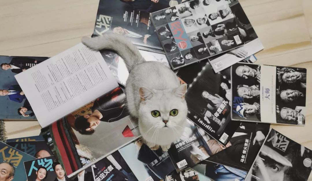 猫知道想主人吗,猫知道下雨下雪