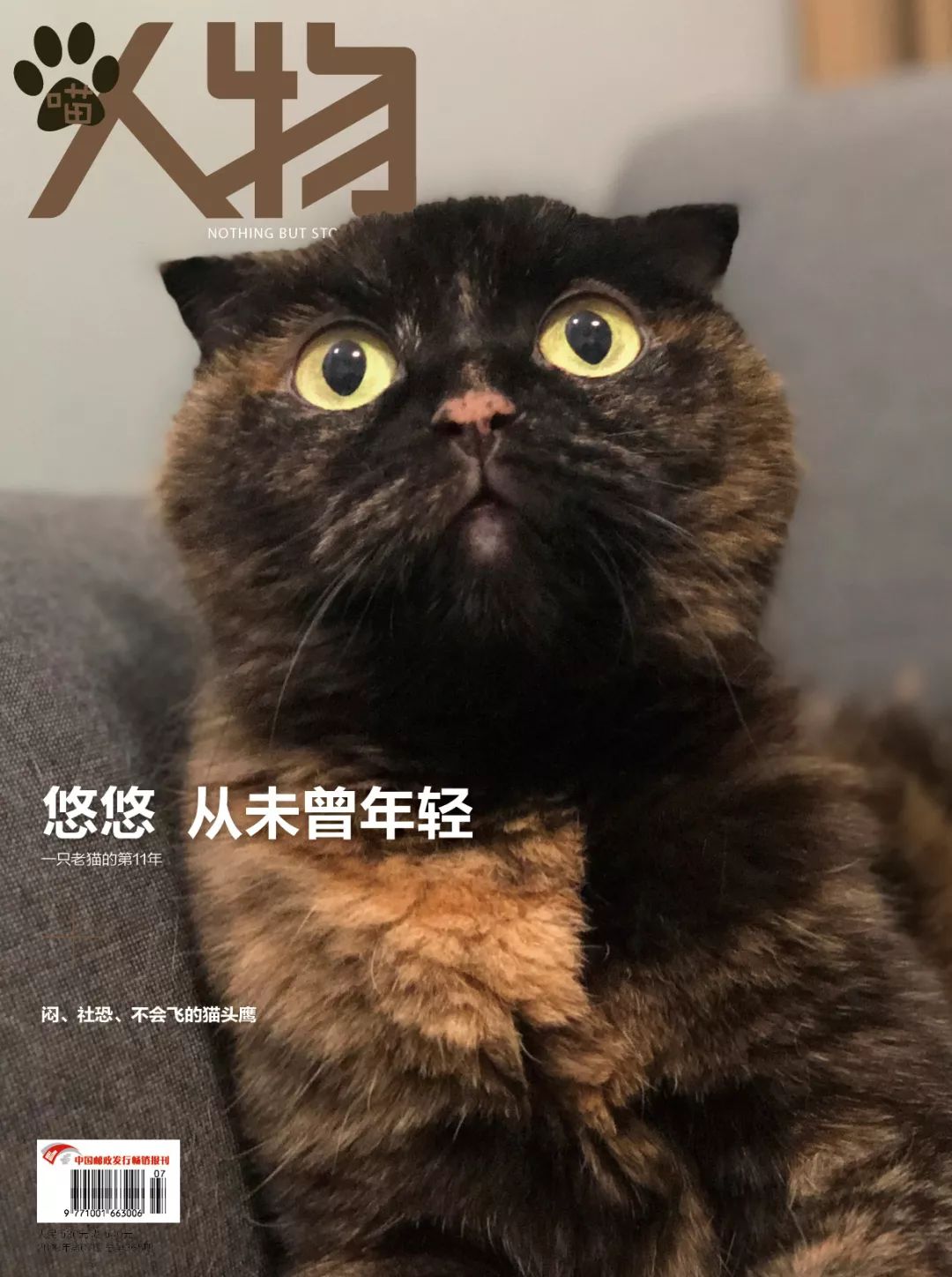 猫知道想主人吗,猫知道下雨下雪