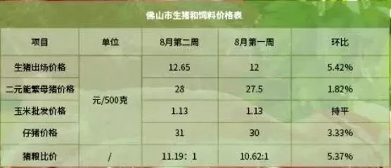 全国统一查询接种疫苗记录平台,疫苗查询全国统一平台