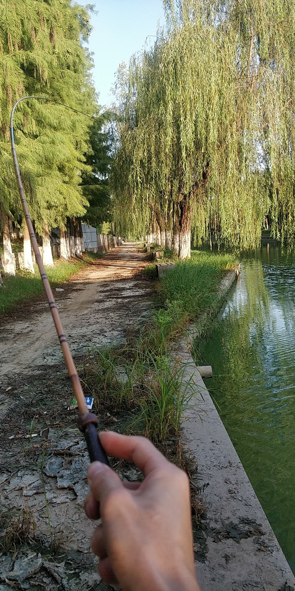 周五钓鱼攻略,周五垂钓