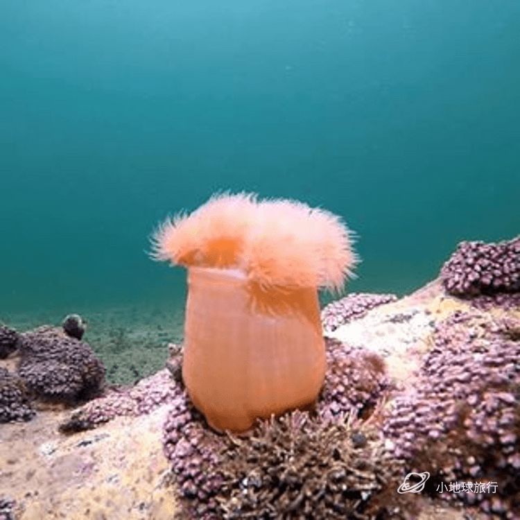 北极圈内的这个冷冽孤独秘境，一到冬天就成为欧洲摄影师的心头肉，国际地理封面就靠你了