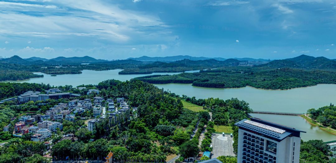 金众麒麟公馆值得买吗,深圳湾金众麒麟公馆