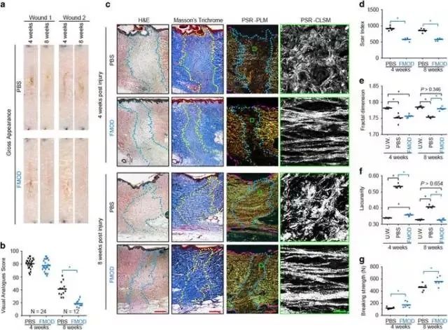44岁的她竟睡服半个娱乐圈，被亿万直男跪舔！遭小S妒忌十年：凭什么