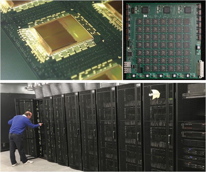 欧盟人脑基础科学项目,欧盟人脑计划是脑研究计划吗