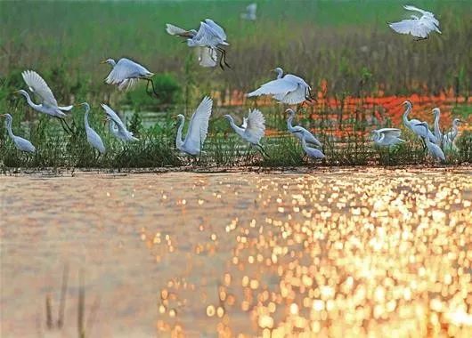 一图看懂70年住宅变迁史,一图速览党的二十大报告