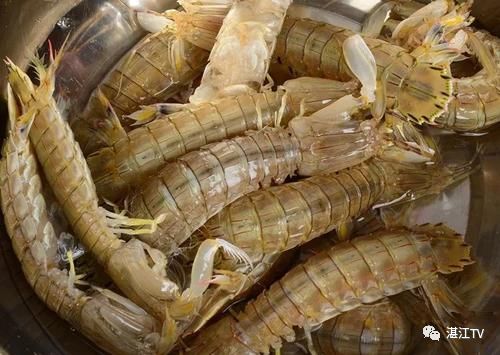 香港tvb经典打卡,香港湛江海鲜