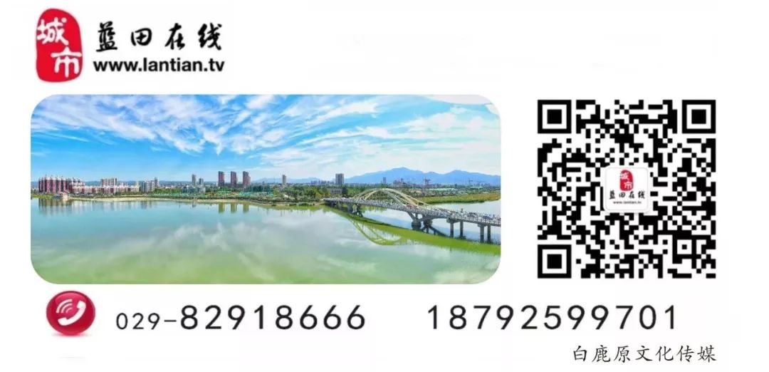 蓝田县2023年八人制足球比赛,蓝田县八人制足球比赛时间