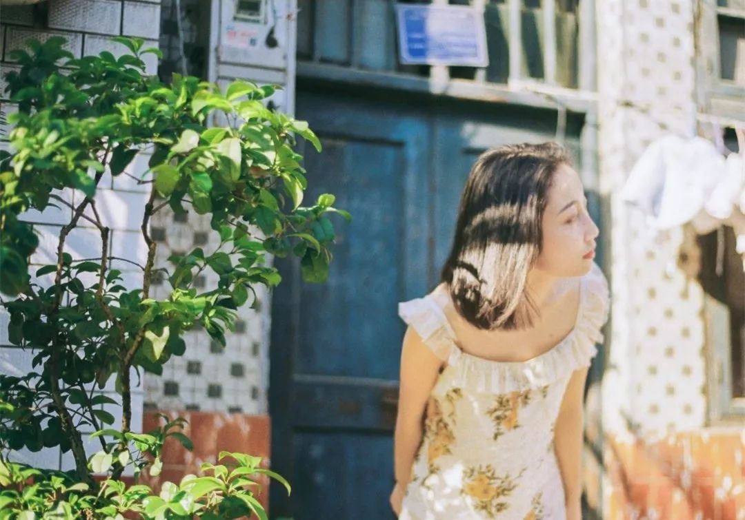 新手入坑相机录像,谈谈入坑的几台胶片机