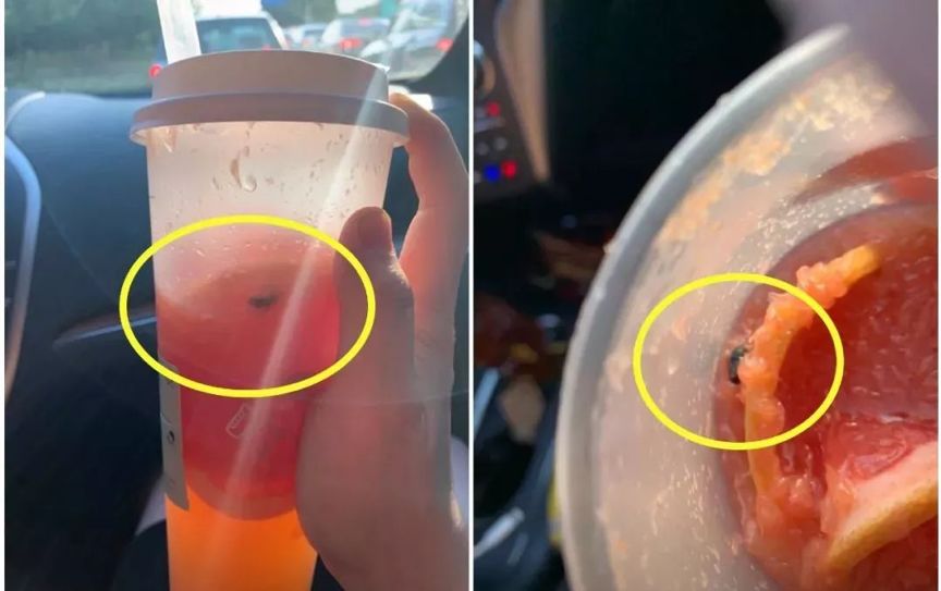 婊¤鐢滃搧coco (coco鎵撳崱婊¤鐢滃搧)