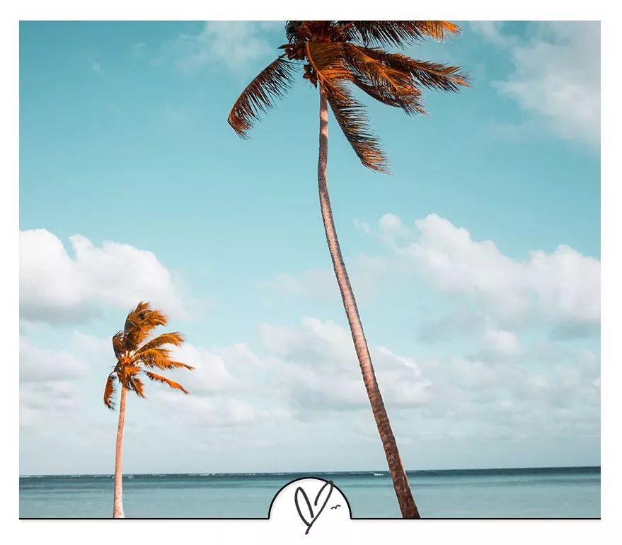 东野圭吾最精辟的句子,东野圭吾精辟到骨子里