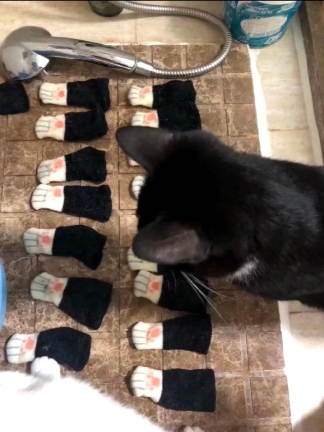 接吻后女生喜欢你的征兆,巨蟹女生喜欢你的征兆