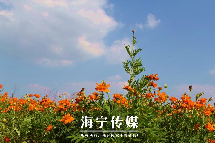 空气优良天数的指标,空气优良