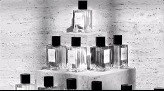 celinealexanderwang,celine新香水