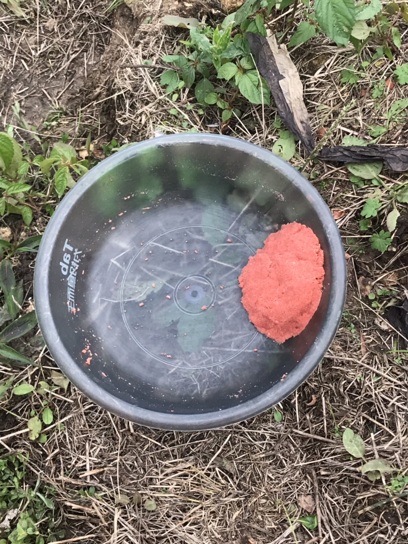 水库夜钓鲤鱼草鱼视频,水库夜钓大鲤鱼