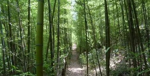 这些玉溪景点，你去打卡了没？