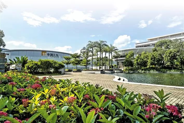 鐧惧己鑽紒,鐧惧己浼佷笟宸＄ぜ