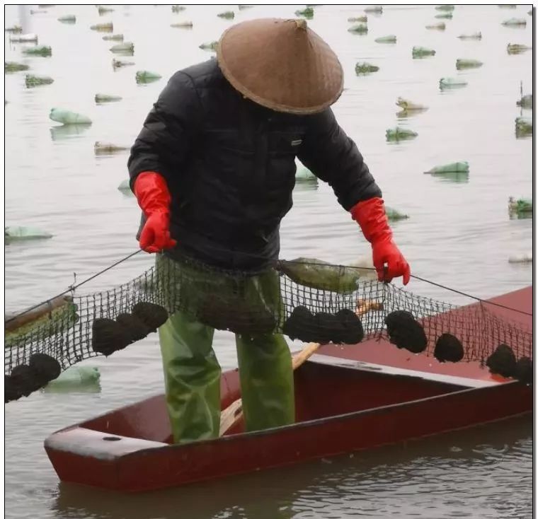 小众化产品可以牛到这个程度？中国超猛小镇横扫全世界