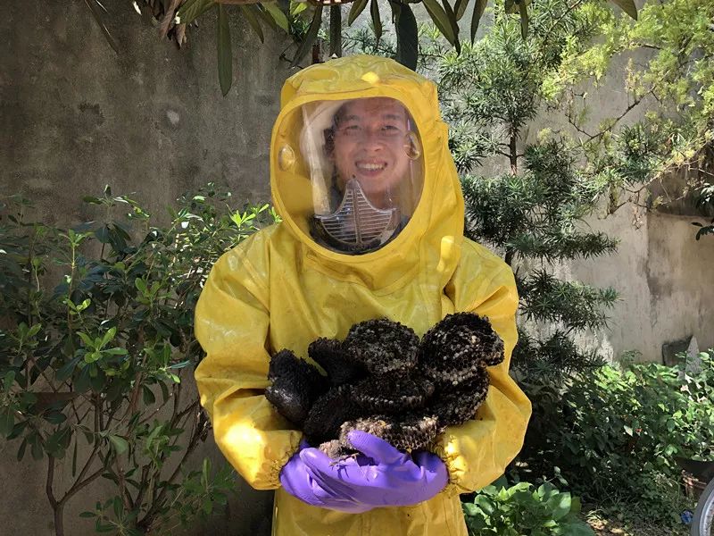 警惕这种虫子有人被咬后差点没命,危险的五种毒虫