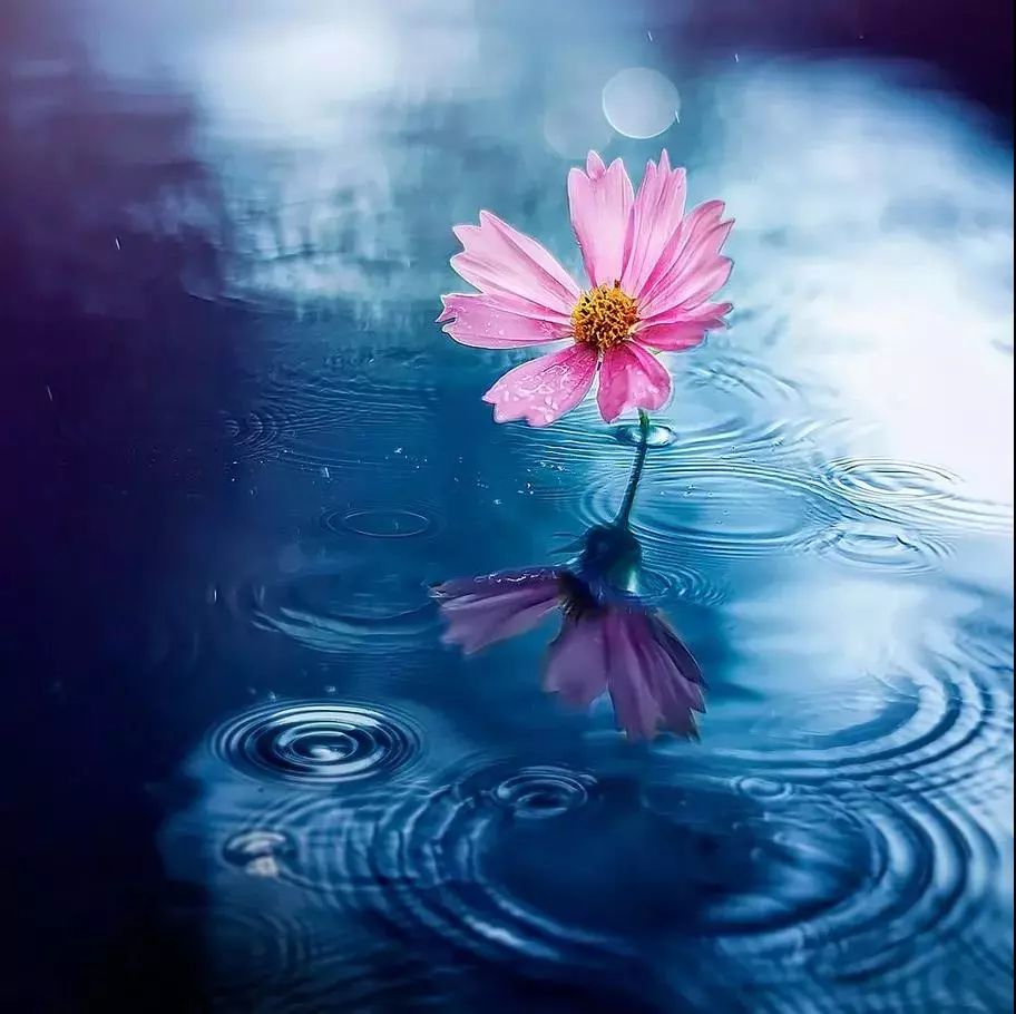 70个常见的健康知识,70个经典健康小知识