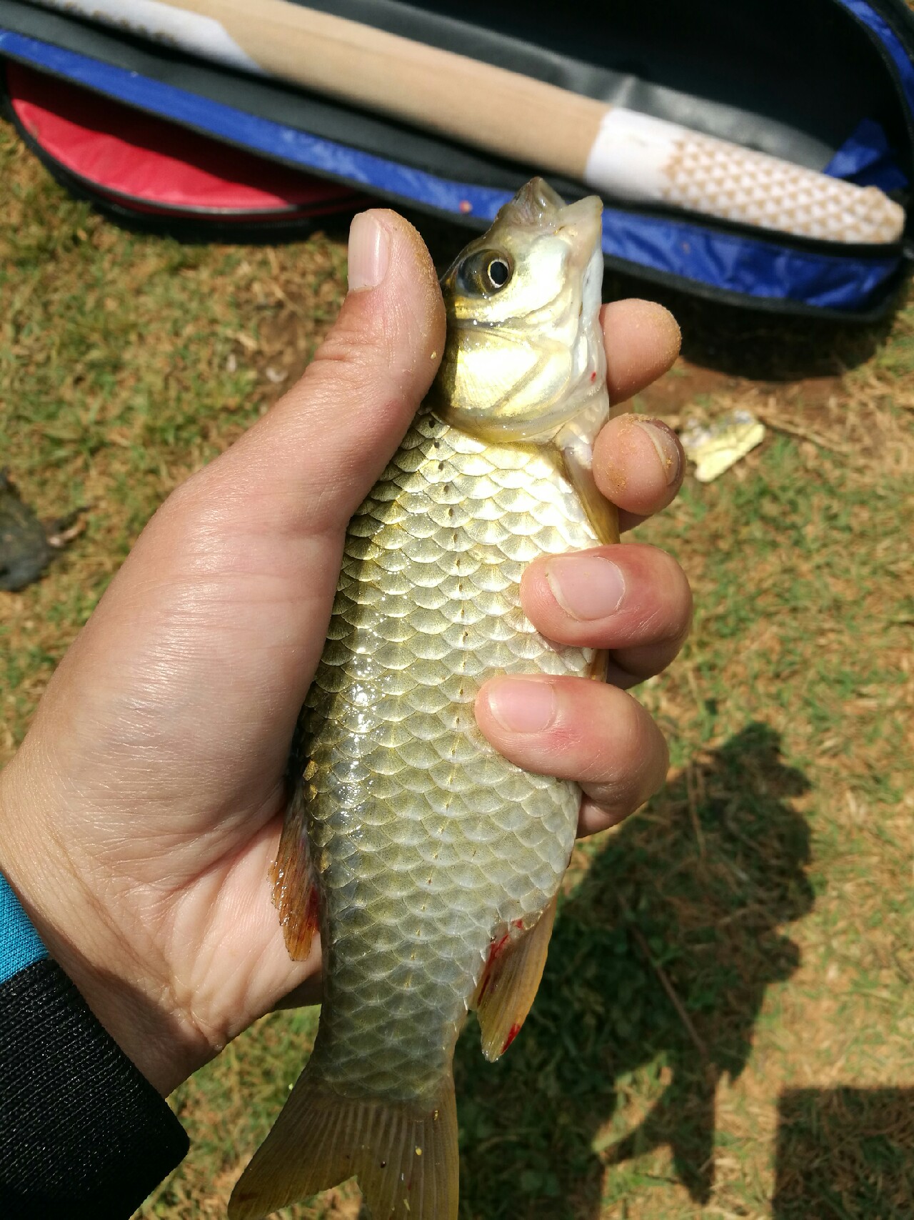 钓鱼爆护口诀100句,为钓鱼付出过哪些努力