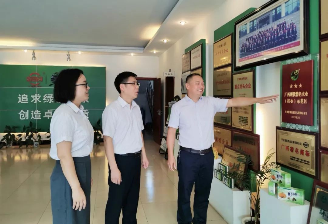 壮丽70年·广西农信丨初心是乡村振兴的“农信力量”！一张“老存折”见证一座村庄的蜕变