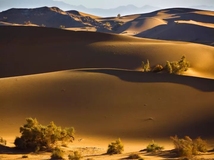 为什么叫甘肃,甘肃为什么叫河西走廊