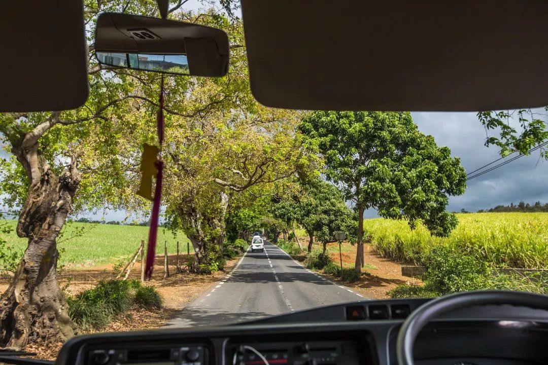 毛里求斯怎么玩攻略已写好,毛里求斯的基础知识