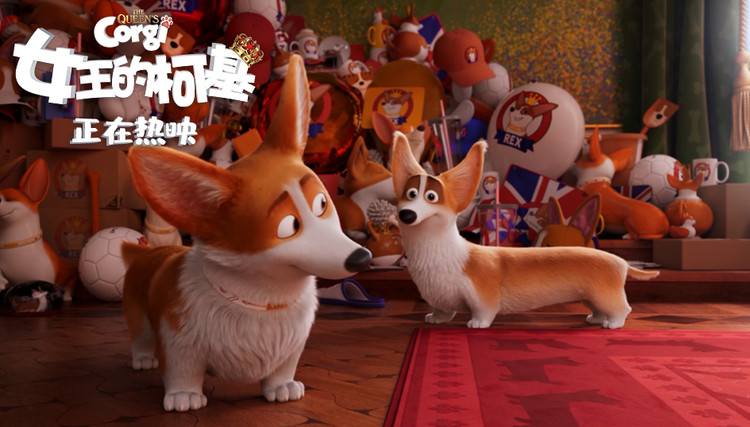 女王的柯基中文版免费观看完整版,女王的柯基在线免费看全集完整版
